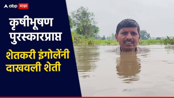 राज्यात गेल्या 8 दिवसांत मुसळधार पाऊस पडत असून मराठवाड्यात शेतकऱ्यांचं अतोनात नुकसान झालं आहे. त्यामध्ये, लातूर, धाराशिव, नांदेड, बीड, परभणी जिल्ह्यातील बळीराजा संकटात सापडला आहे.