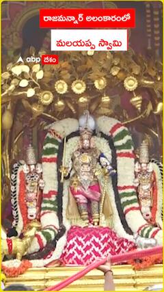 రాజమన్నార్ అలంకారంలో  మలయప్ప స్వామి