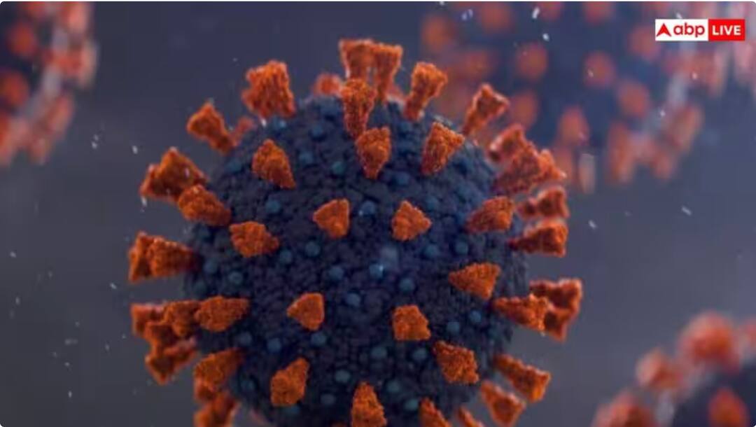 New Coronavirus Strain: ਮੁੜ ਤੋਂ ਫੈਲ ਰਿਹਾ ਕੋਰੋਨਾਵਾਇਰਸ ਦਾ ਇੱਕ ਨਵਾਂ ਸਟ੍ਰੇਨ, ਜਾਣੋ ਇਸ ਵਾਰ ਕਿਹੋ ਜਿਹੇ ਨੇ ਲੱਛਣ ? New strain of coronavirus spreading in America know the symptoms New Coronavirus Strain: ਮੁੜ ਤੋਂ ਫੈਲ ਰਿਹਾ ਕੋਰੋਨਾਵਾਇਰਸ ਦਾ ਇੱਕ ਨਵਾਂ ਸਟ੍ਰੇਨ, ਜਾਣੋ ਇਸ ਵਾਰ ਕਿਹੋ ਜਿਹੇ ਨੇ ਲੱਛਣ ?