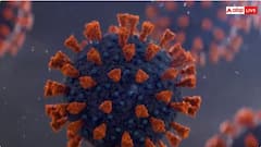 New Coronavirus Strain: ਮੁੜ ਤੋਂ ਫੈਲ ਰਿਹਾ ਕੋਰੋਨਾਵਾਇਰਸ ਦਾ ਇੱਕ ਨਵਾਂ ਸਟ੍ਰੇਨ, ਜਾਣੋ ਇਸ ਵਾਰ ਕਿਹੋ ਜਿਹੇ ਨੇ ਲੱਛਣ ?