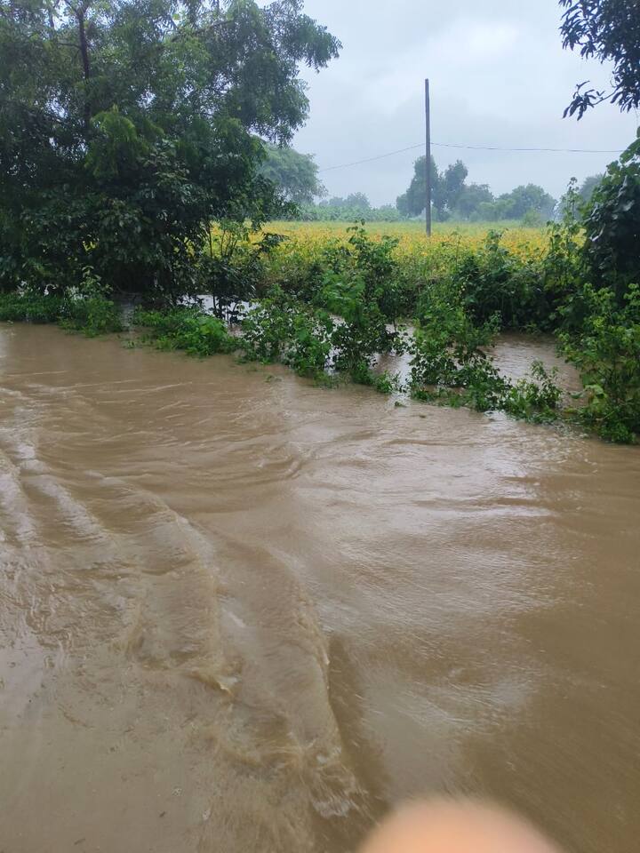 नांदेड जिल्ह्यातही शेतकऱ्यांचं मोठं नुकसान झालं असून शेतातील पिकं पाण्यातून वाहून गेली आहेत, तर काही शेतात गुडघाभर पाणी साचल्याने आता शेती करायची कशी असा प्रश्न बळीराजापुढे आहे.