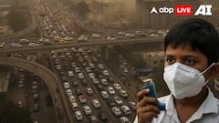 Asthma Cases Rising In Indian Cities: Air Pollution, Lifestyle And Delayed Diagnosis To Blame