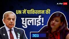 'तबाह हुए रनवे जीत जैसे दिखते हैं?', भारत ने UN में शहबाज शरीफ के दावों पर पाकिस्तान को धोया