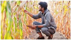 ఆంధ్రప్రదేశ్‌లో రైతులకు గుడ్‌ న్యూస్- నిల్వ చేసుకున్న పంటపై పూచీకత్తు లేకుండా 75 లక్షల రుణం 