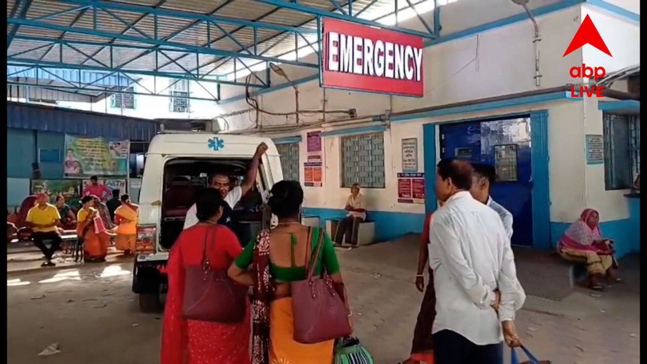 Durga Puja 2025: ঠাকুর দেখার আনন্দ বদলে গেল বিষাদে, বাড়ির ফেরার পথেই গাড়ি দুর্ঘটনায় মৃত ১, আহত ৪