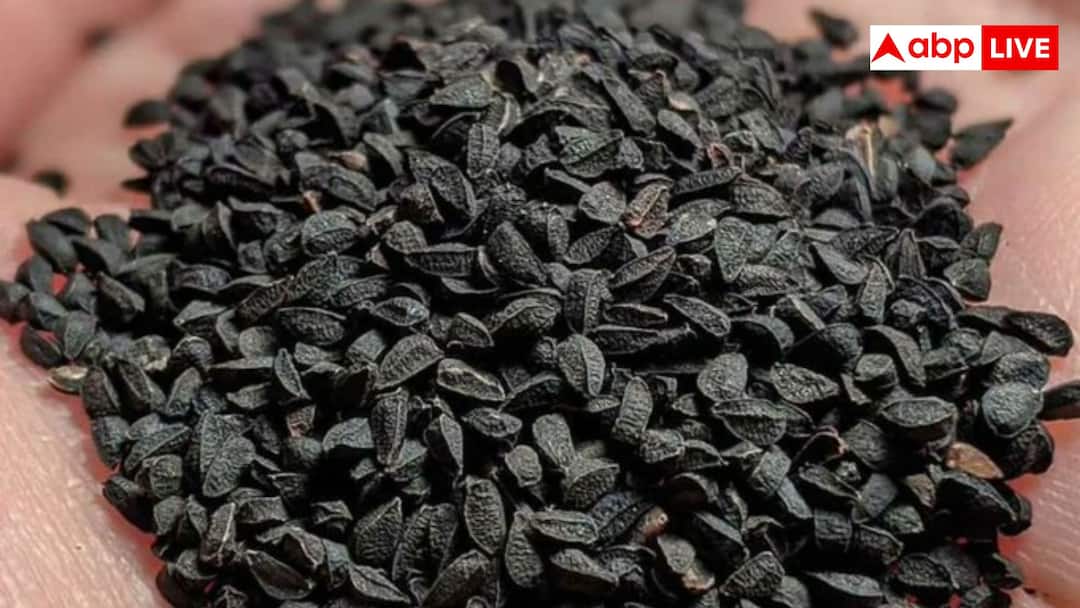 Black Cumin seeds cure almost every disease except death buy today and start eating for health benefits मौत को छोड़कर हर बीमारी का इलाज हैं ये बीज! आज ही खरीदकर शुरु करें खाना