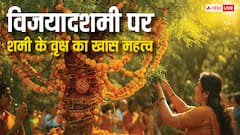 विजयादशमी पर शमी के वृक्ष का है खास महत्व, जानें इनकी पत्तियों में छिपा है समृद्धि का रहस्य
