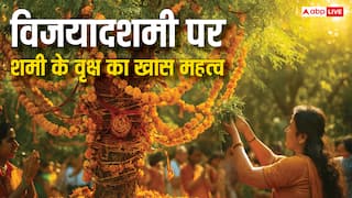 Shami Tree Worship: विजयादशमी पर शमी के वृक्ष का है खास महत्व, जानें इनकी पत्तियों में छिपा है समृद्धि का रहस्य