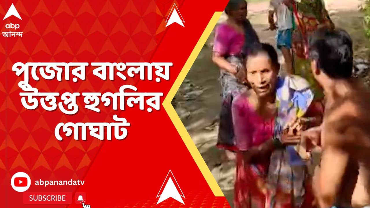 TMC Inner Clash: বাঁশ-লাঠি-ধারালো অস্ত্র নিয়ে তৃণমূলের ২ গোষ্ঠীর মধ্যে মারপিট