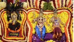 నవరాత్రి ఉత్సవాల్లో ఏడో రోజు కాళరాత్రి దుర్గగా శ్రీశైల భ్రమరాంబిక - ఈ రూపం విశిష్టత, పూజా విధానం!