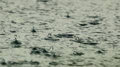 IMD Predicts Rain During Durga Puja In South Bengal; Kolkata May See Heavy Downpour On Oct 1