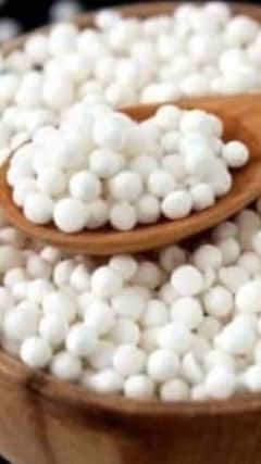 साबूदाना कौन से पेड़ पर उगता है?