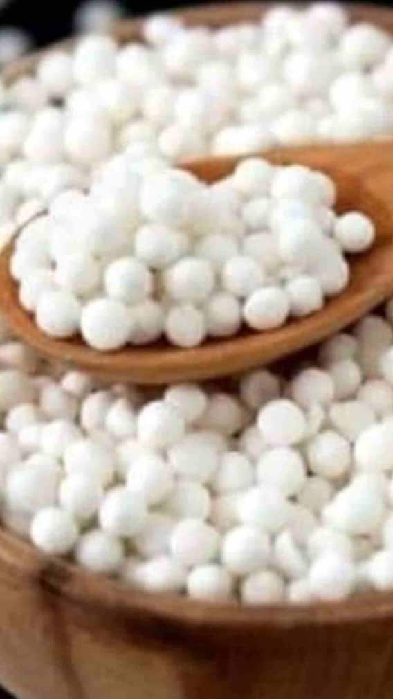 साबुदाणा कोणत्या झाडावर उगवतो?