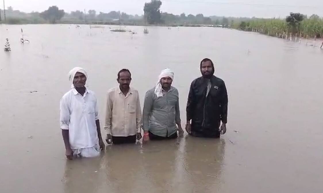मराठवाड्यात रात्रभर पावसाचं थैमान! पिके कमरेएवढया पाण्यापर्यंत तरंगतायत, शाळांना तळ्याचं स्वरूप, कुठे काय परिस्थिती ?