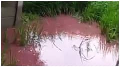 జడ్చెర్ల కాలుష్యంపై స్పందించకుంటే ఆరబిందో ఫార్మా కూల్చేస్తా- ప్రభుత్వానికి కాంగ్రెస్ ఎమ్మెల్యే అల్టిమేటం