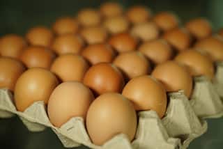 Eggoz Controversy: দোকান থেকে কিনে আনা ডিমে বিষ? ক্যান্সার সৃষ্টিকারী উপাদান? কাঠগড়ায় Eggoz, FSSAI-এর ভূমিকাতেও প্রশ্ন