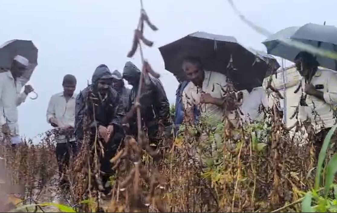 मराठवाड्यात रात्रभर पावसाचं थैमान! पिके कमरेएवढया पाण्यापर्यंत तरंगतायत, शाळांना तळ्याचं स्वरूप, कुठे काय परिस्थिती ?