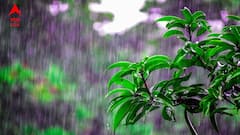 অষ্টমীর পর ফের ঘূর্ণাবর্ত-নিম্নচাপ ? নবমী রাত থেকে ভাসতে পারে কলকাতা