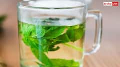 सुबह-सुबह तुलसी का पानी पीने से खिल उठेगी त्वचा, देखते ही लोग पूछने लगेंगे क्या है राज