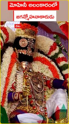 Tirumala Srivaru in Mohini attire