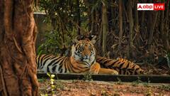 Indian Dangerous Villages: ये हैं देश के सबसे खतरनाक 5 गांव, जहां हर वक्त मंडराती रहती है मौत