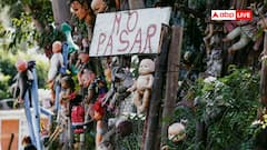 इस द्वीप पर कहां से आईं हजारों उल्टी लटकी गुड़िया, क्या है इन डॉल्स की डरावनी कहानी?