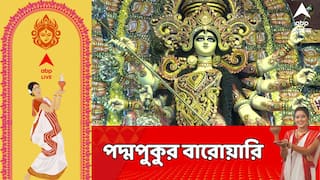 Durga Puja 2025: পদ্মপুকুর বারোয়ারির এবার ৮৯তম বর্ষ, এবারে তাদের থিম 'তিতলি ধাম