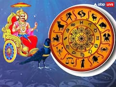 Shani Margi 2025: नवंबर में मार्गी होंगे शनि, नौकरी-पेशा वाले इन राशियों का शुरू होगा गोल्डन टाइम
