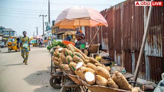 High Blood Pressure Foods: 40 साल हो गई उम्र और डायबिटीज-बीपी कर रहे परेशान? यह सब्जी खाएंगे तो नहीं होगी कोई बीमारी