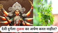 पवित्र तरीही देवी दुर्गेला तुळस का अर्पण करत नाहीत? वाचा यामागचं धार्मिक आणि शास्त्रीय कारण