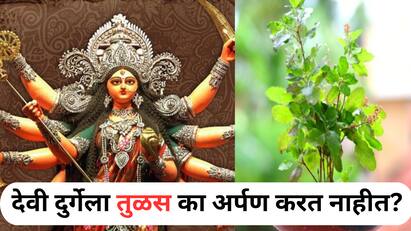 पवित्र तरीही देवी दुर्गेला तुळस का अर्पण करत नाहीत? वाचा यामागचं धार्मिक आणि शास्त्रीय कारण