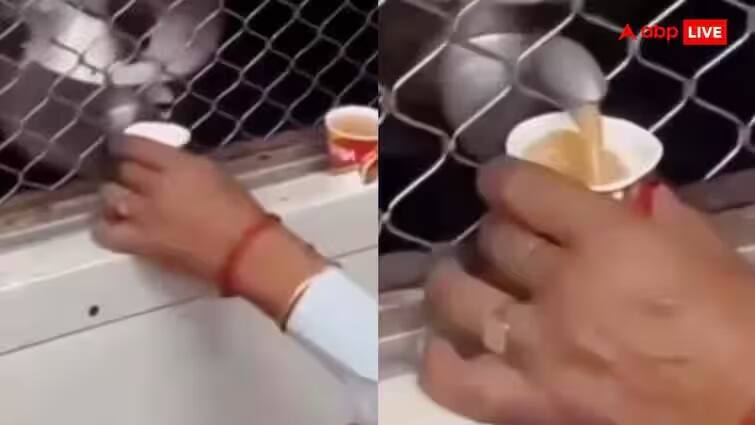 person selling tea gives in train through window into cup videos goes viral trending  ટ્રેનમાં ચા વેચવાનો જબરો જુગાડ; વીડિયો જોઈને તમારું માથું ચકરાવે ચડી જશે, જુઓ Video