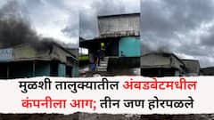 मुळशी तालुक्यातील अंबडबेटमधील कंपनीला आग; तीन जण होरपळले, रूग्णालयात उपचार सुरू