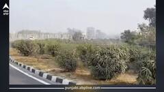 Punjab Weather Today: ਪੰਜਾਬ 'ਚ ਗਰਮੀ ਦਾ ਕਹਿਰ, ਤਾਪਮਾਨ 38 ਡਿਗਰੀ ਪਾਰ, ਅਗਲੇ ਹਫਤੇ ਵੀ ਬਾਰਿਸ਼ ਹੋਏਗੀ ਜਾਂ ਨਹੀਂ? IMD ਨੇ ਆਖੀ ਇਹ ਗੱਲ...