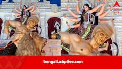 অসুররূপে বিরাজমান, মহিষাসুর হলেন ‘ডোনাল্ড ট্রাম্প’, সাড়া ফেলল এই কমিটির পুজো...