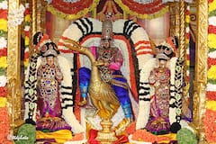 Tirumala : బకాసుర వధ అలంకారంలో సర్వభూపాల వాహనంపై తిరుమలేశుడు!