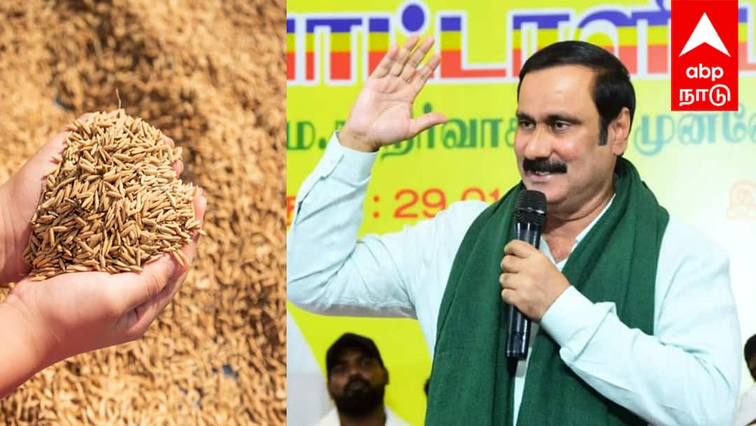 அரசின் நெல் கொள்முதல் விலை உயர்வு: விவசாயிகளை ஏமாற்றும் செயலா? - அன்புமணி ராமதாஸ் குற்றச்சாட்டு!