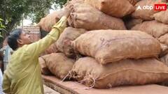 गोरखपुर में नवरात्रि के बीच फूड डिपार्टमेंट का एक्शन, रंगे हुए आलुओं के 2 ट्रक किए जब्त