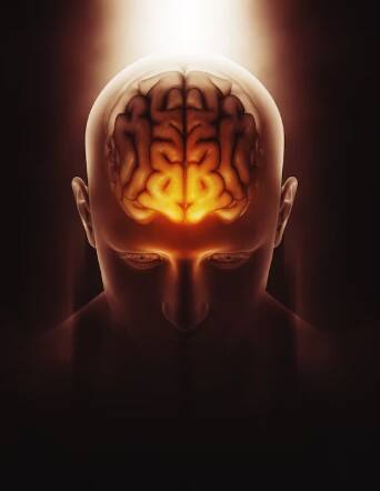 ਦਿਮਾਗ ਨੂੰ ਤੇਜ਼ ਕਰਨ ਲਈ ਡਾਈਟ 'ਚ ਸ਼ਮਿਲ ਕਰੋ ਇਹ ਵਾਲੇ ਭੋਜਨ, ਮਿਲੇਗਾ ਫਾਇਦਾ