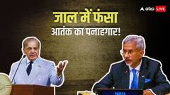 भारत की चाल में फंस गया पाकिस्तान! जयशंकर ने यूएन में सुनाई खरी-खोटी तो लगी मिर्ची; जवाब देना पड़ा उल्टा