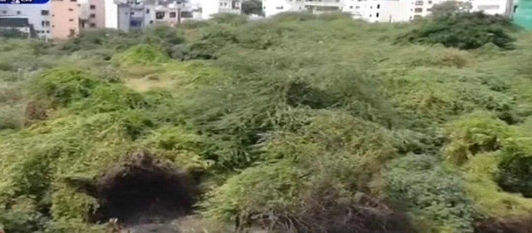 Bathukammakunta Lake: చెత్తకుప్ప నుండి జాతీయస్దాయికి బతుకమ్మకుంట చెరువు వైభవం.. హైడ్రాకు ప్రేరణగా ఎలా నిలిచింది..?