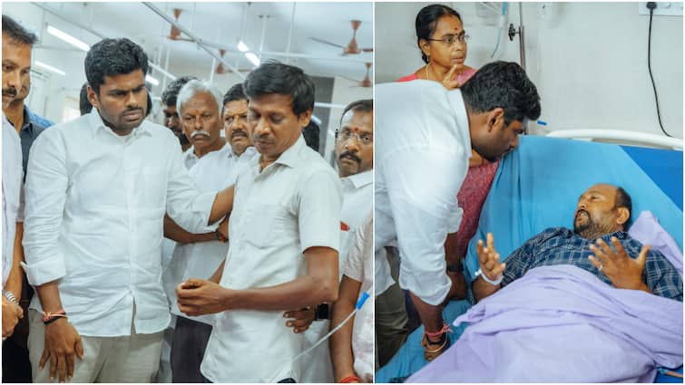 Karur Stampede: BJP’s Annamalai Demands CBI Probe, ‘Govt Utterly Failed, Vijay Must Take Responsibility Too’