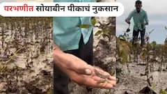 Parbhani : पाऊस आणि पुराने 10 एकर सोयाबीनचा अक्षरशः चिखल; परभणीच्या सोयाबीन उत्पादक शेतकऱ्याची व्यथा