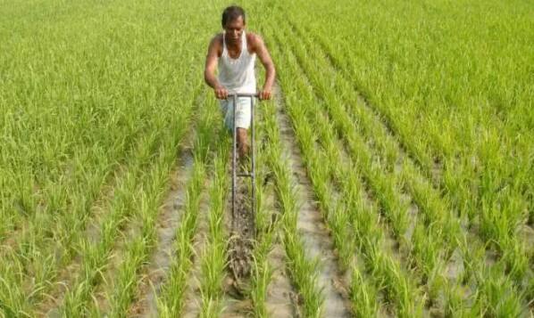 તમે સત્તાવાર વેબસાઇટ pmfby.gov.in ની મુલાકાત લઈને પ્રધાનમંત્રી ફસલ બીમા યોજના માટે ઓનલાઈન અરજી કરી શકો છો. આ ઉપરાંત, તમે જિલ્લા કૃષિ કચેરીમાંથી ઓફલાઈન પ્રક્રિયા વિશે જાણી શકો છો.તમને જણાવી દઈએ કે પ્રધાનમંત્રી ફસલ બીમા યોજના માટે અરજી કરવા માટે, તમારી પાસે કેટલાક દસ્તાવેજો હોવા આવશ્યક છે. જેમાં આધાર કાર્ડ, બેંક એકાઉન્ટ પાસબુક, અને જમીન સંબંધિત મહત્વપૂર્ણ દસ્તાવેજોનો સમાવેશ થાય છે.