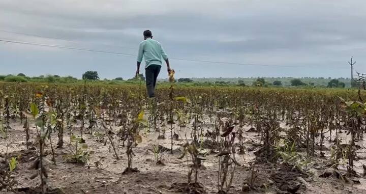 त्यामुळे त्यांनी देवाभाऊ यांच्याकडे भरीव मदतीसाठी याचना केलीय.