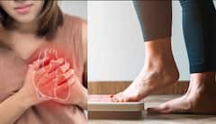 वजन कमी करण्याच्या औषधांनी हार्टअटॅकचा धोका? तज्ज्ञ काय सांगतात?