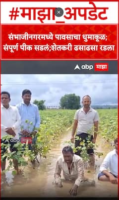 Chhatrapati Sambhajii Nagar: संभाजीनगरमध्ये पावसाचा धुमाकूळ; संपूर्ण पीक सडलं; शेतकरी ढसाढसा रडला