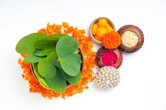 Dussehra tradition :  दसऱ्याच्या दिवशी आपट्याची पानं वाटण्यामागचे पौराणिक व वैज्ञानिक कारण .