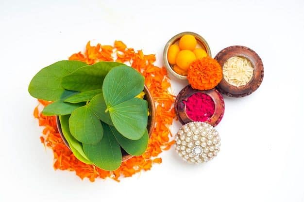 साडेतीन मुहूर्तांपैकी एक मानल्या जाणाऱ्या या दिवसाला भारतीय संस्कृतीत खूप महत्व आहे. या दिवशी रामाने रावणाचा वध केल्याचे सांगितले जाते, त्यामुळे या दिवशी रावण दहनही केले जाते. तसेच शस्त्रांची पूजा देखील केली जाते.