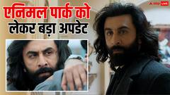 कब रिलीज होगी एनिमल पार्क? रणबीर कपूर ने दे दिया बड़ा अपडेट